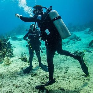 Meet your Posher, Ian